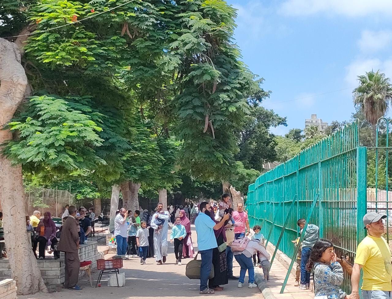 الفسحة فى الحدائق والمتنزهات الفسحة فى الحدائق والمتنزهات