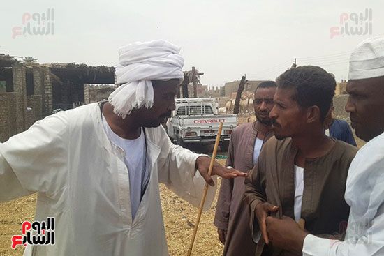 حركة--تجارة-الجمال حركة--تجارة-الجمال