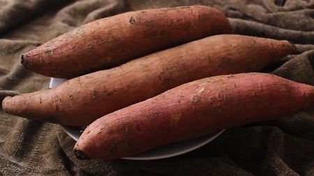 ثمار البطاطا ثمار البطاطا