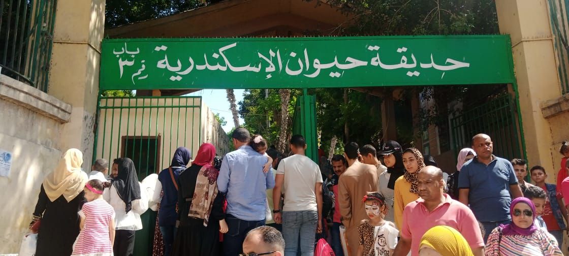 حديقة الحيوان بالإسكندرية حديقة الحيوان بالإسكندرية