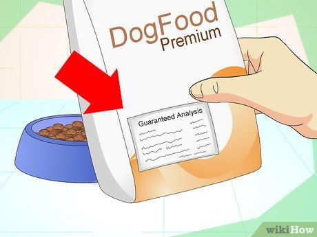 صورة عنوانها Add Fiber to a Dog's Diet Step 1