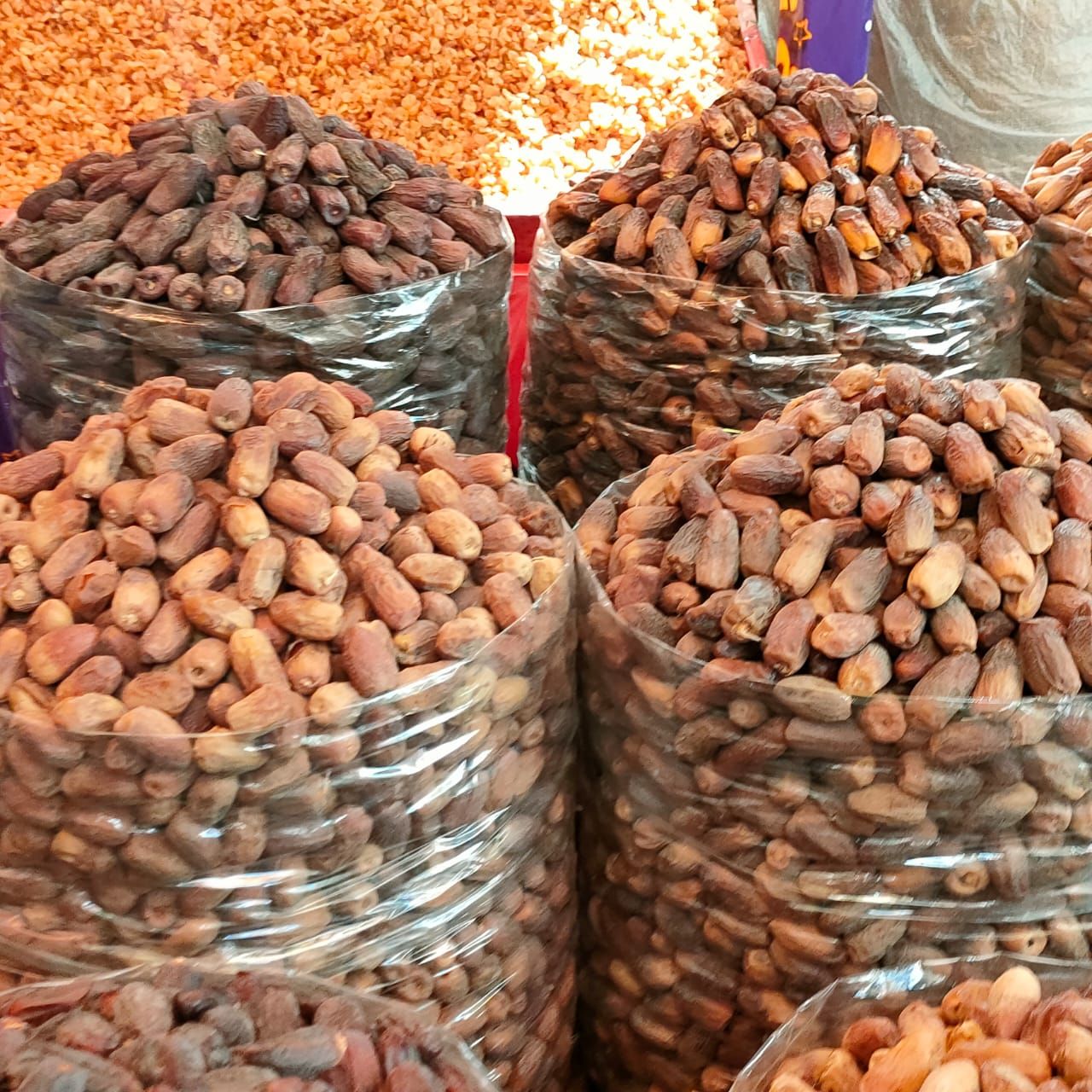 بلح الخد الجميل والشبح بلح الخد الجميل والشبح