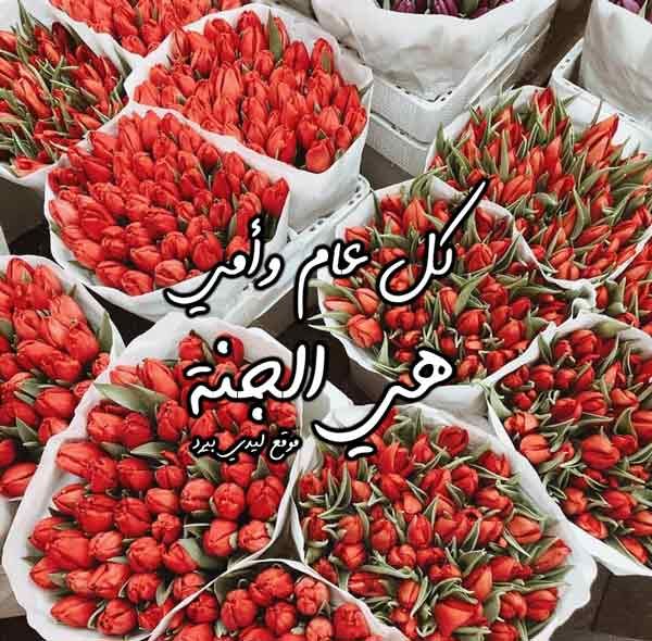 بطاقات عيد الام مكتوب عليها 5