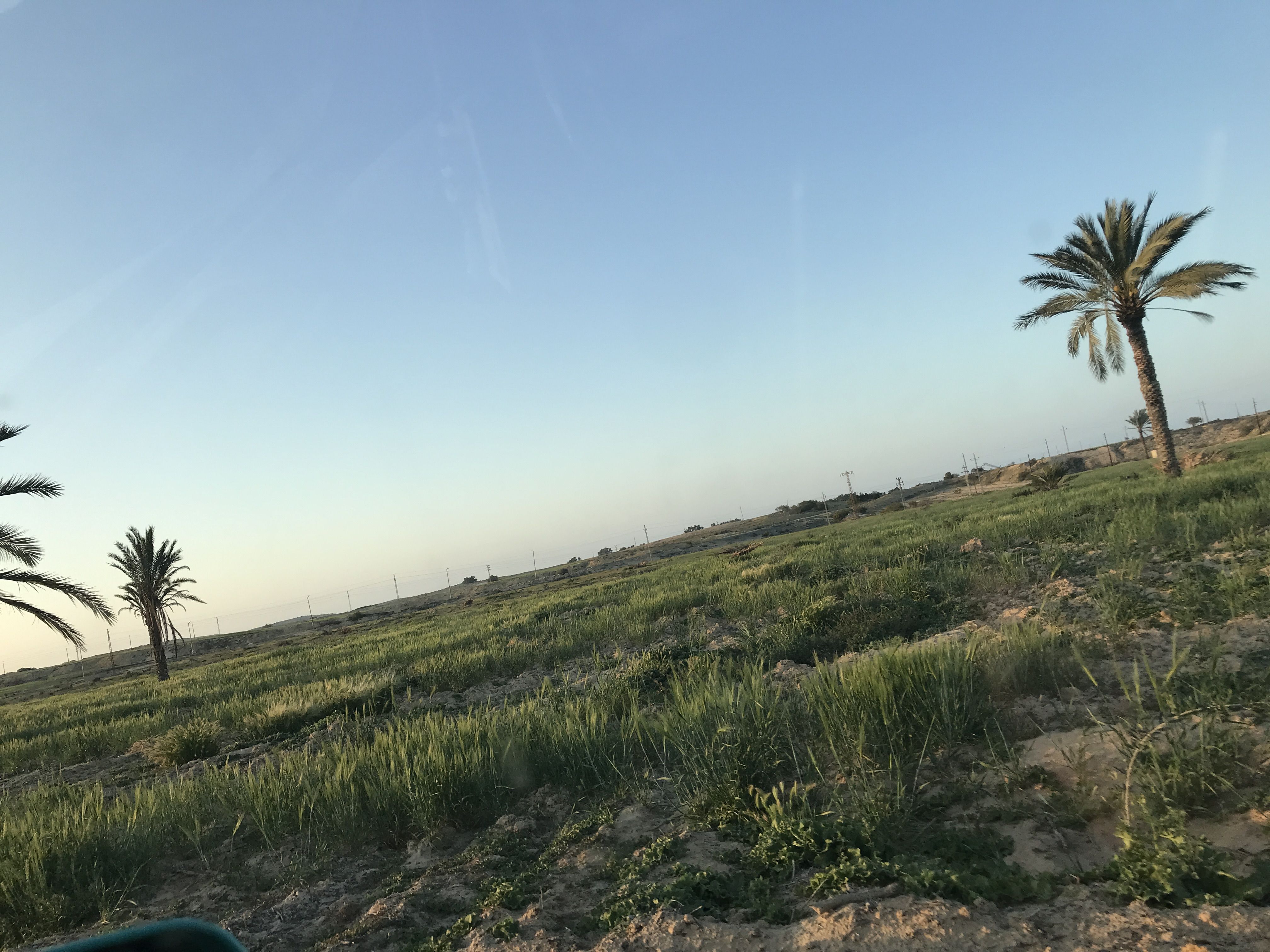 استصلح الارض استصلح الارض