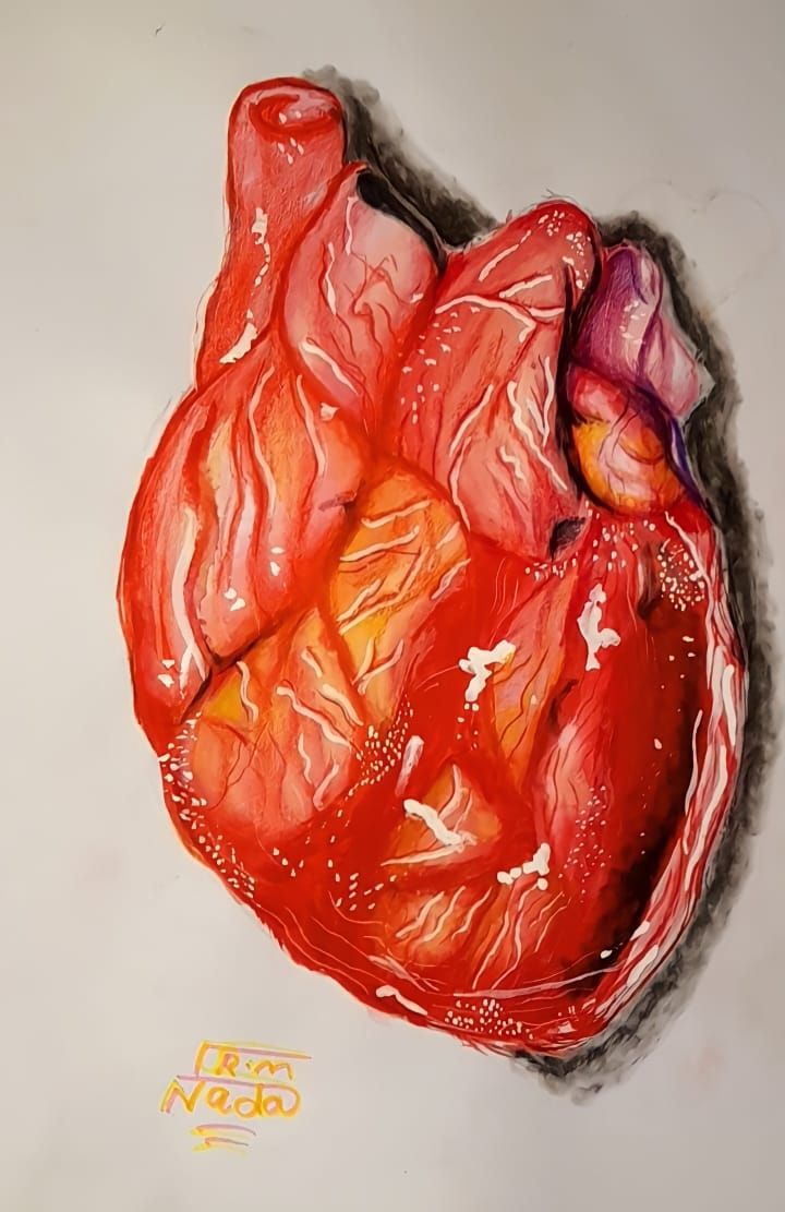 رسمه لقلب للطالبة رسمه لقلب للطالبة