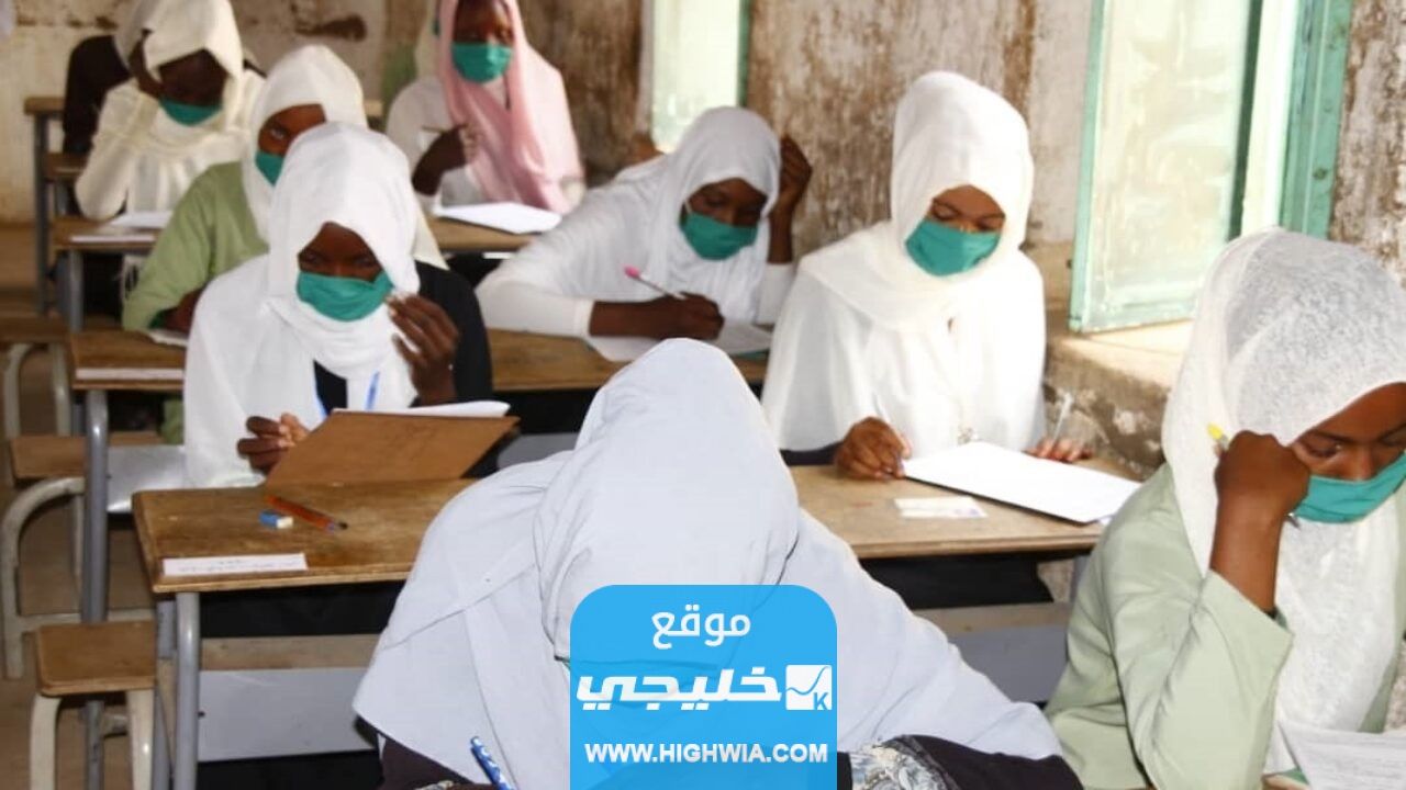استخراج نتيجة شهادة الأساس ولاية الجزيرة