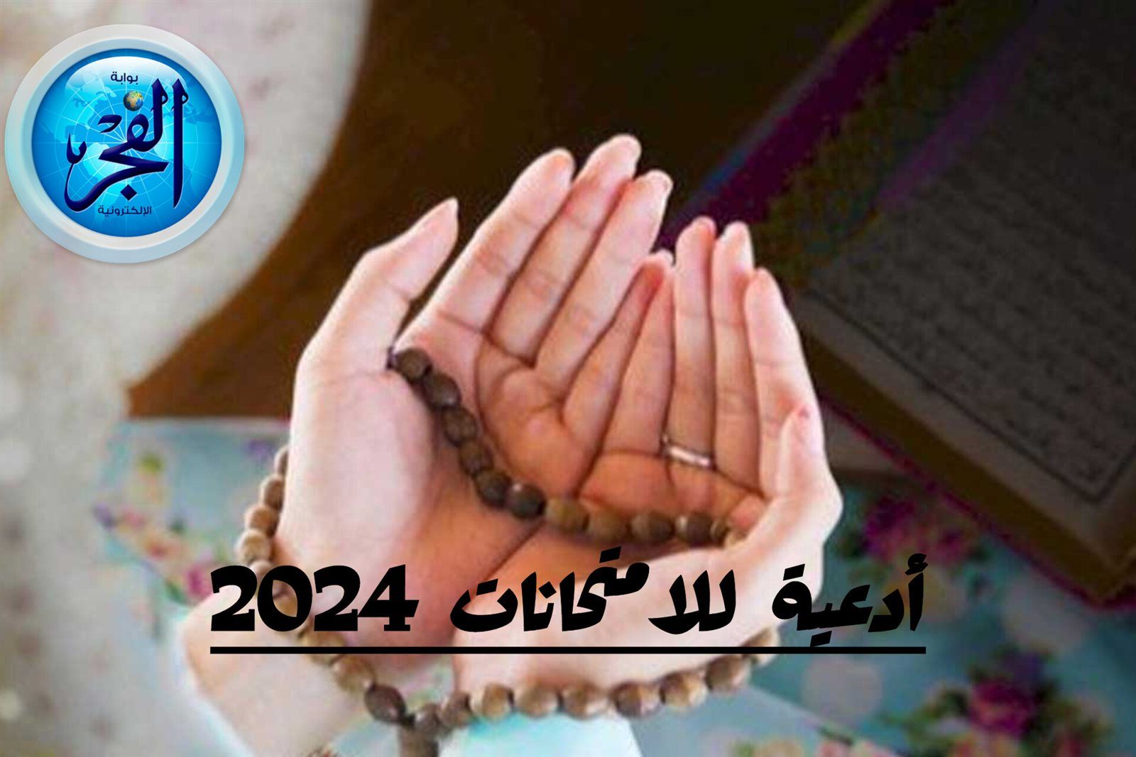 4dd224b819.jpg
