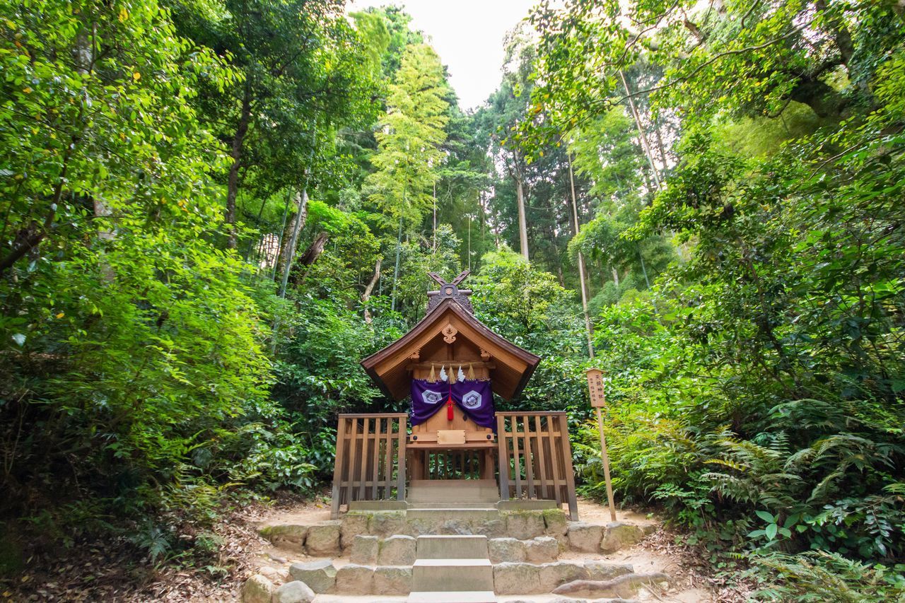 معبد أمينوكاغامي المكرس لإيناتا هيمي يقع في مواجهة البركة.