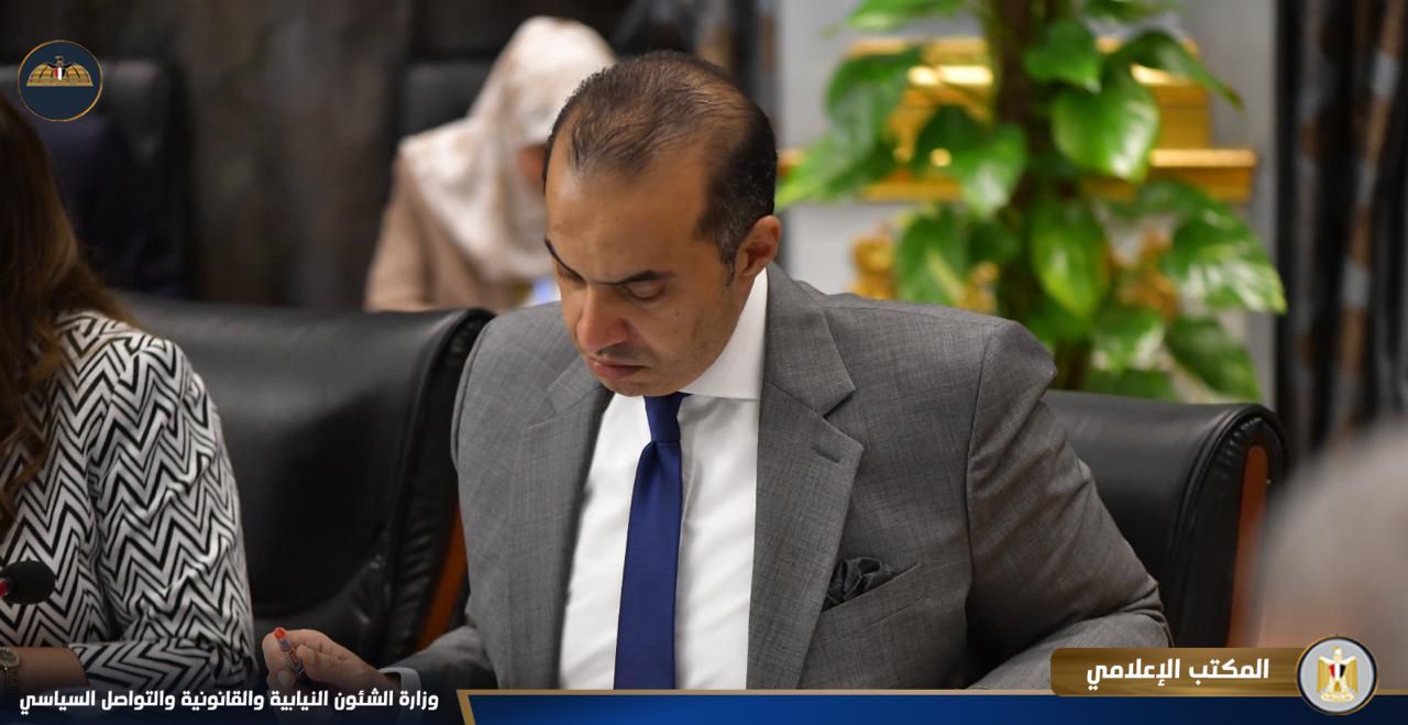 المستشار محمود فوزي المستشار محمود فوزي