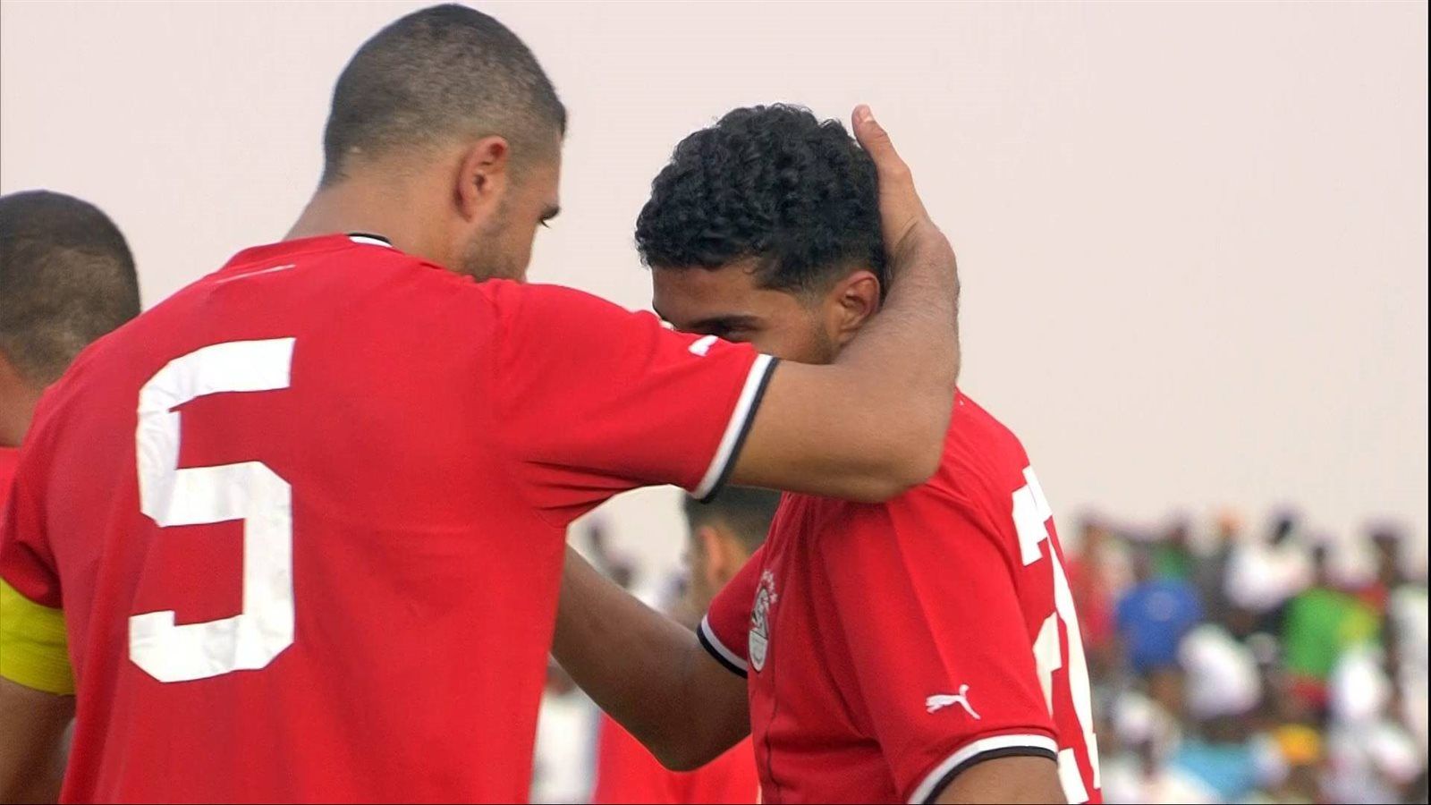 فيتو