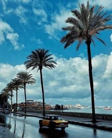 فصل الشتاء فصل الشتاء