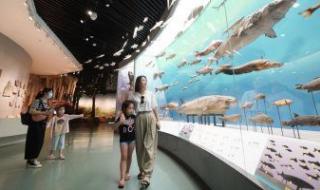 الصين تحتضن 1677 متحفا للعلوم والتكنولوجيا حتى عام 2021