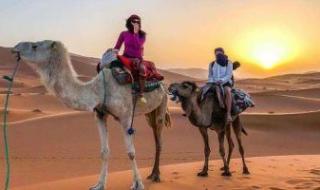 رئيس المنظمة العربية للسياحة: التكامل العربى يحقق التنمية للاستثمارات والسياحة