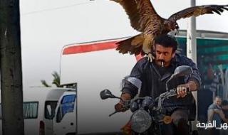 أحمد العوضى يحمل صقرا فى كواليس "ضرب نار"