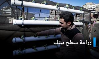 "سطح أخضر".. تعرّف على مبادرة مصرية تحوّل سطح بيتك إلى مساحة لزراعة الخضار دون تربة. #الزراعة #الخضار #مصر