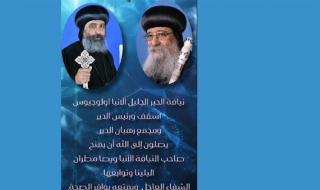 رهبان ورئيس دير الأنبا شنودة يتمنون الشفاء للأنبا ويصا مطران البلينا