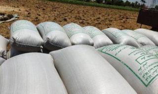 أخبار 24 ساعة.. وزير التموين: مخزون القمح يكفى شهرين والأرز 3 أشهر والسكر 4