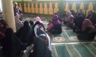 تنظيم 14 جلسة دوار داخل قرى حياة كريمة في أسوان.. صور