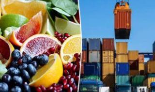 تعرف على أهم السلع التي استوردتها مصر من دول الكوميسا عام 2022