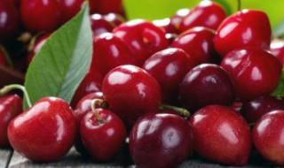 تناول فاكهة الكرز يساهم فى تنقية الدم