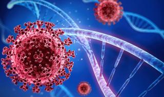 مترو الأنفاق يناشد الركاب الالتزام بالإجراءات الاحترازية بسبب متحور كورونا الجديدالسبت 19/أغسطس/2023 - 04:29 ص
متحور كورونا ، شددت شركة مترو الأنفاق على أهمية الالتزام بالإجراءات الاحترازية التي تشمل ارتداء الكمامة والاهتمام بالتباعد وكافة الاجراءات الحمائية والتي نجحت إدارة مترو الأنفاق قبل ذلك في تنفيذها