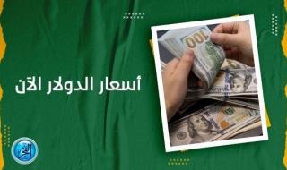 سعر الدولار اليوم Dollar Price محافظة الجيزة (مباشر الآن Live Now)