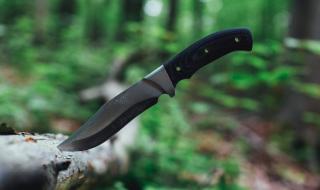 تفسير حلم ذبح حيوان مفترس في المنام