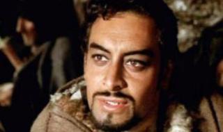 تعرف على نجوم مصر المشاركين بأصواتهم فى فيلم "أسد الصحراء"