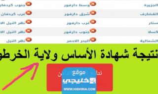 “صدرت رسميا”.. استخراج نتيجة شهادة الأساس ولاية الجزيرة برقم الجلوس 2023 عبر موقع وزارة التربية والتعليم السودانية