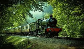 تفسير حلم خروج القطار عن القضبان في المنام