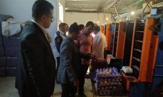 "لليوم الرابع".. استمرار التفتيش على شركات تداول بيض المائدة في بعض المحافظات