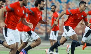 اليوم، فيتوريا يعلن قائمة منتخب مصر لمواجهتي زامبيا والجزائرالخميس 05/أكتوبر/2023 - 07:31 ص
يعلن البرتغالي روي فيتوريا اليوم الخميس، أسماء اللاعبين المنضمين لمعسكر الفريق المقرر إنطلاقه خلال الفترة من 9 إلى 17 أكتوبر الجاري