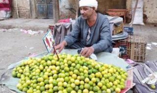 "شعبان" يتاجر فى الخضروات بقنا منذ 50 عاما متحديا إعاقته.. صور