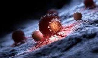 سرطان بيركت… هل سمعت به من قبل؟