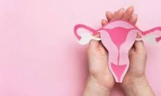 معلومات حول بطانة الرحم السميكة أو الرقيقة.. هل تمنع الحمل؟