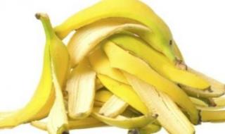 فوائد قشر الموز، لصحة القلب ويحل مشاكل البشرةالإثنين 04/ديسمبر/2023 - 11:22 م
فوائد قشر الموز، للصحة وللبشرة عديدة وهامة، وقد لا يعلم عنها الكثيرين، في حين أن قشر الموز يحتوي على العديد من المغذيات الطبيعية
