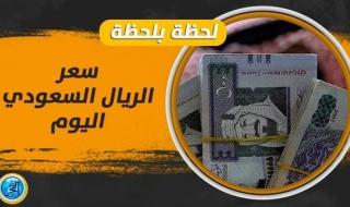 سعر الريال السعودي اليوم.. آخر تطورات العملة السعودية أمام الجنيه