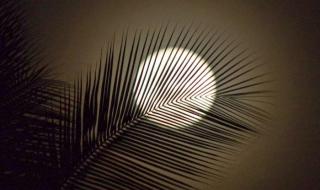 تفسير حلم السماء تمطر فضة في المنام