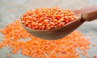 سعر كيلو العدس، أسعار العدس اليوم الخميس 18-1-2024 في الأسواقالخميس 18/يناير/2024 - 08:52 ص
تنشر فيتو سعر العدس اليوم، وفقًا لآخر التحديثات في أسعار البقوليات اليوم في ظل ارتفاع الطلب عليها، حيث تعد من السلع الأساسية والغذاء الرئيسي في الوجبات المصرية المختلفة.