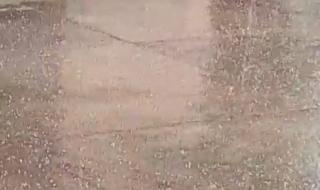 تساقط أمطار ثلجية على عدة مناطق بالإسكندرية (صور)الثلاثاء 30/يناير/2024 - 09:01 م
استمرار لموجة الطقس السئ التي تضرب الإسكندرية تساقط حبات البرد الثلجية علي مناطق مختلفة وسط رفع حالة الطواريء