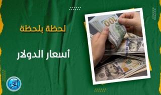سعر الدولار في السوق السوداء اليوم الثلاثاء 13 فبراير 2024