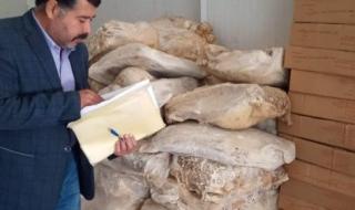 ضبط كيمات لحوم غير صالحة وطن أجبان فاسدة خلال حملات بيطرية وتموينية بالمنيا