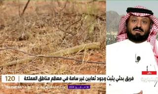 فيديو | أستاذ علم البيئة والكائنات السامة في جامعة حائل د. أحمد الشمري: اكتشفنا نوعا جديدا من الثعابين الغير سامة على مستوى العالم في المدينة المنورة وحائل وتبوك ولا يشكل خطرا #برنامج_120 #الإخبارية