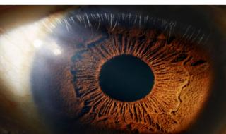 دراسة: هذه الأسباب تجعل عيون الإنسان تتلألأ كالمجرةالأحد 26/مايو/2024 - 04:00 م
كشف فريق من العلماء عن حالة شائعة نسبيا تجعل العين تبدو وكأنها مجرة تحتوي على سماء ليلية مليئة بالنجوم