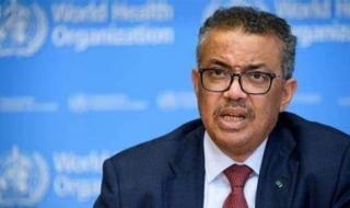 الصحة العالمية: تفشى حمى الضنك فى 90 دولة والإبلاغ عن 7.6 مليون إصابة 2024