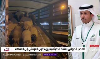 فيديو | مدير المحجر الحيواني والنباتي بمنفذ الحديثة د. محمود الشراري: وصول أكثر من 300 ألف رأس من الأغنام إلى المحجر الحيواني بالمنفذ #الإخبارية