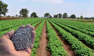 طن اليوريا العادي يرتفع 2572.6 جنيه، تحركات جديدة في أسعار الأسمدة بالأسواقالأربعاء 16/أكتوبر/2024 - 08:19 ص
أسعار الأسمدة في الأسواق وتستعرض «فيتو» أسعار الأسمدة في الأسواق، وأبرز التحركات في سعر الأسمدة، وتشمل سعر النترات واليوريا العادي والمخصوص، وفقًا للبوابة الحكومية، في السطور الآتية: