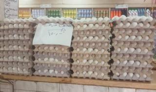 مد منافذ المجمعات الاستهلاكية ببيض المائدة.. اعرف الأسعار