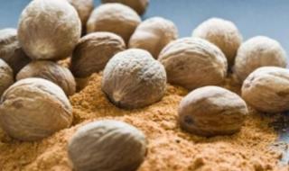 فوائد جوزة الطيب، يعالج الأرق ويساعد على الاسترخاءالأربعاء 27/نوفمبر/2024 - 07:45 م
جوزة الطيب من الأعشاب العطرية الشهيرة التى لها نكهة مميزة تجعل استخدامها أساسى فى الطهى، وله قيمة غذائية عالية.