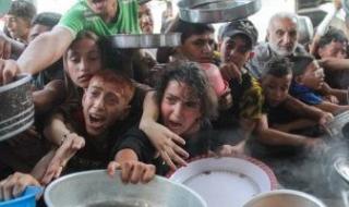 الذهب
      مقابل
      رغيف
      العيش..
      80
      طفلا
      فى
      غزة
      ماتوا
      من
      الجوع